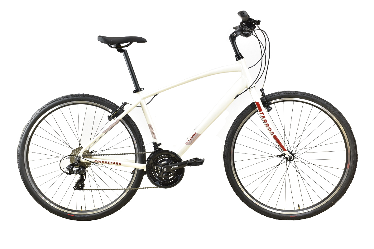 STARK Велосипед Stark'24 Terros 28.2 V белый матовый/красный, серый 20"